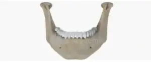 fisioterapia-atm-mandibula-guadalajara-2
